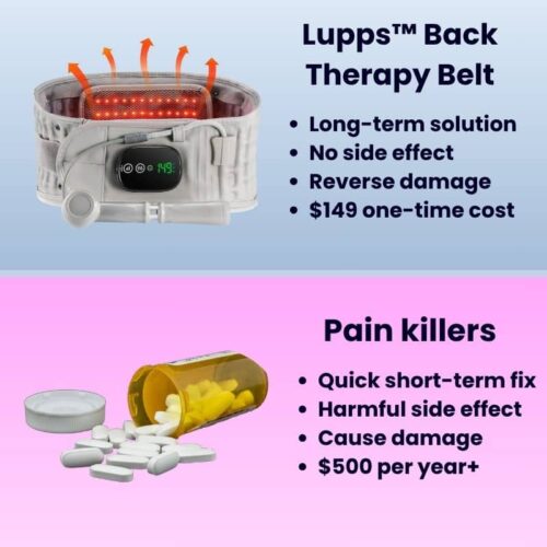 Lupps™ 3-in-1 Back Therapy - Official Retailer