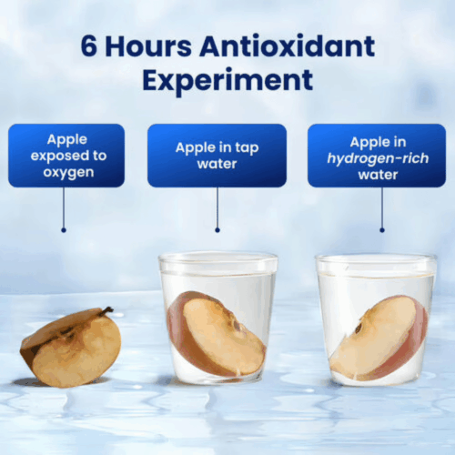 AquaFusion Hydrogen Bottle (Official Retailer) [year]
